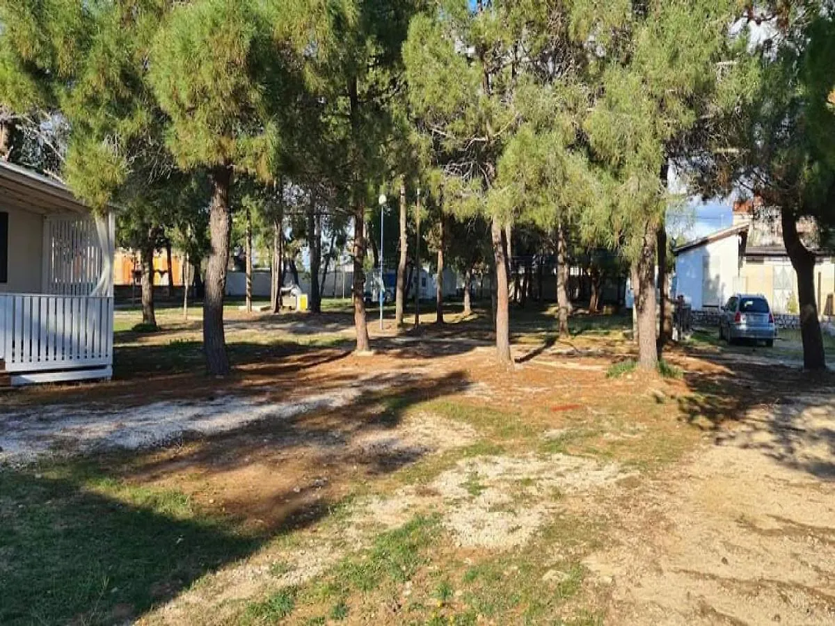 Holiday home Dalmatino Pleasure - Beach House Camp Dalmacija Privlaka Privlaka